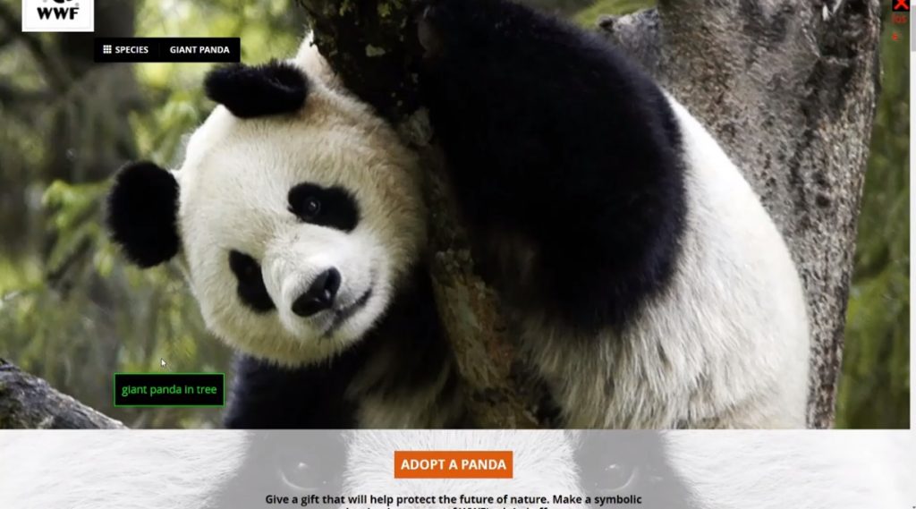 WWF website using "giant panda in tree" as alt attribute